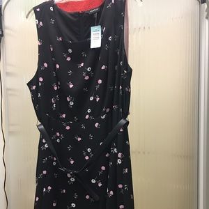 NWT Torrid belted dress